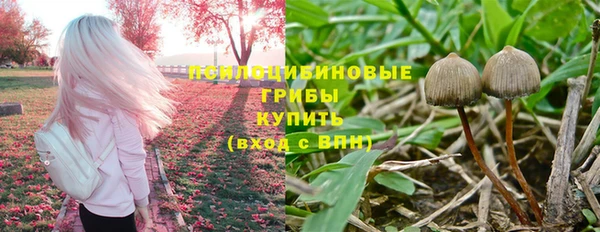 хмурый Зерноград