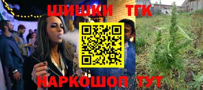 гашик Волжский