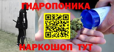 гашик Волжский