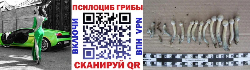 Псилоцибиновые грибы мухоморы  Клинцы 