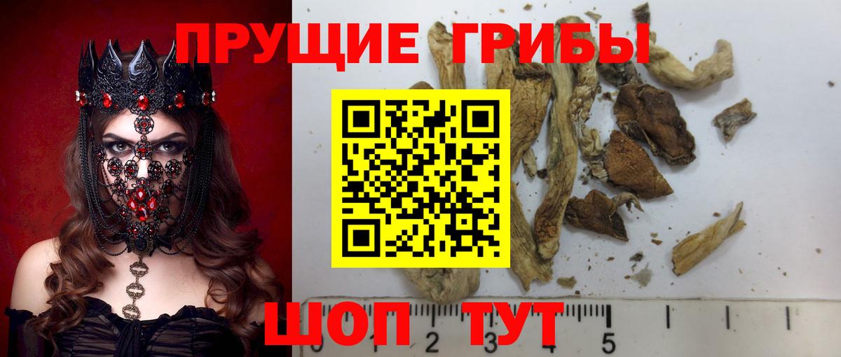 Псилоцибиновые грибы прущие грибы Клинцы