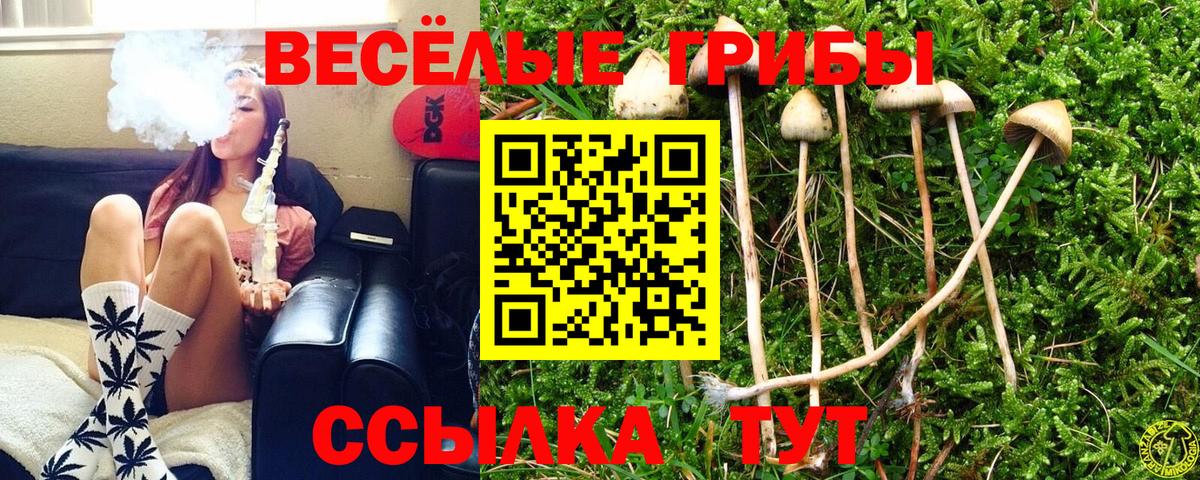 Псилоцибиновые грибы прущие грибы  цена   Клинцы  Вход с VPN 